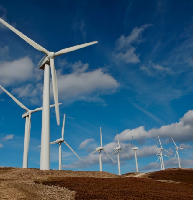 Mannok Holdings | Sustainability, Innovation &amp; Excellence